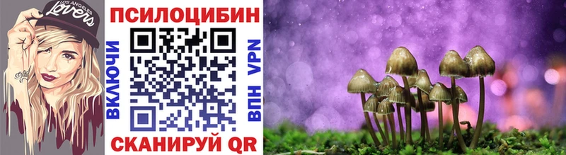 Купить закладки  Кяхта  Галлюциногенные грибы ЛСД 